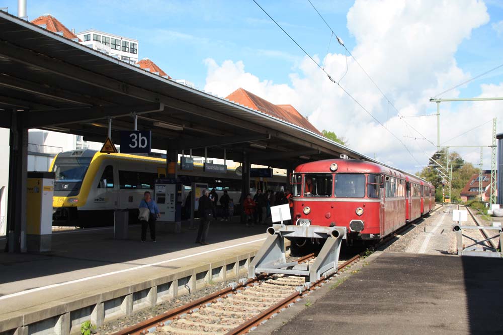FSF23 06