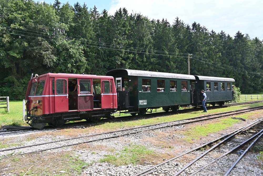 Steyr 11